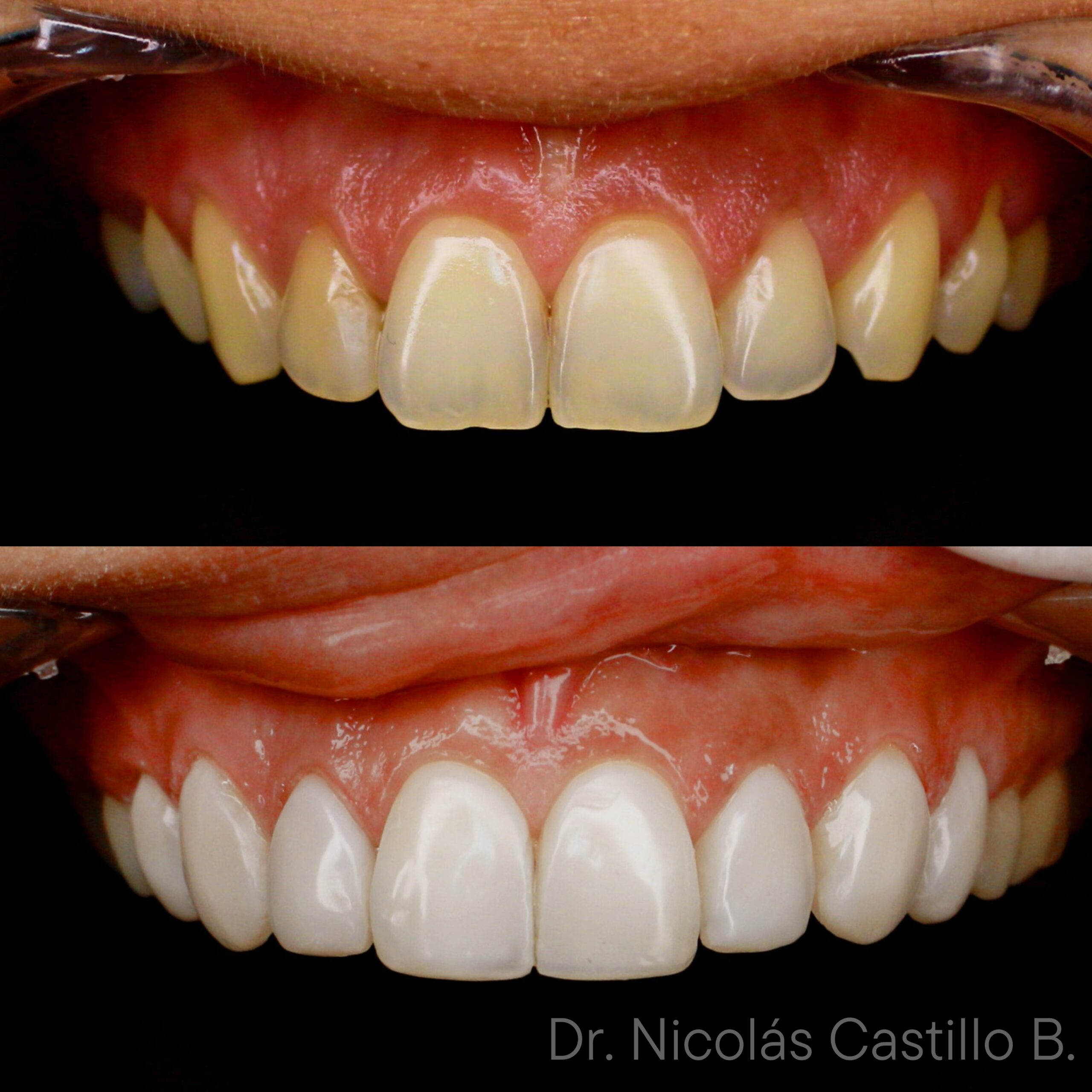 dr nicolas castillo